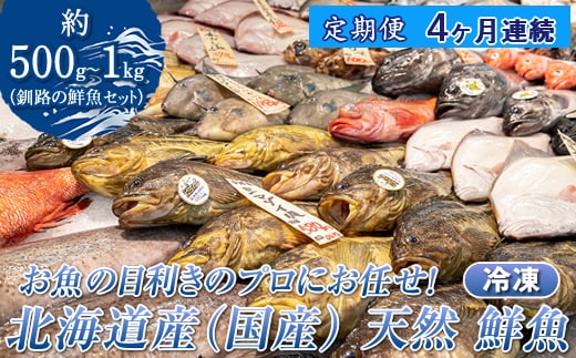 【定期便 4ケ月連続】 お魚の目利きのプロにお任せ！北海道産（国産） 天然 鮮魚 約500g～1kg（釧路の鮮魚セット） 鮮魚 刺身 セット 産地直送 定期便 冷凍 冷凍便 魚介類 海鮮 絶品 人気 ヒロセ 北海道 釧路町 釧路超 特産品