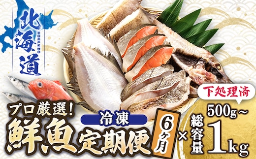【定期便 6ケ月連続】 お魚の目利きのプロにお任せ！北海道産（国産） 天然 鮮魚 約500g～1kg（釧路の鮮魚セット） 産地直送 冷凍 冷凍便 刺身 セット 鮮魚セット 鮮魚ボックス 定期便 魚介類 海鮮 絶品 人気 ヒロセ 北海道 釧路町 釧路超 特産品