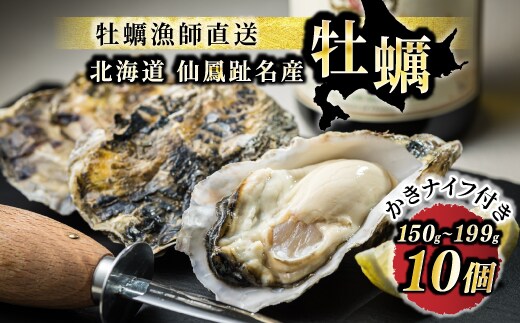 北海道 仙鳳趾名産 牡蠣 150g～199g×10コ＋かきナイフ付き かき漁師直送 K1-6＜出荷時期：2025年10月以降 順次出荷＞＜センポウシ : 釧路町の東 厚岸湾の西 カキの名産地＞ | せんぽうし 牡蠣 生食用 殻付き 牡蠣 絶品 産地直送 北海道 釧路町 釧路超 特産品 冷蔵