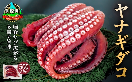 ヤナギダコ 500g【産地直送】プリプリ食感！釧路町昆布森産 ヤナギタコ 柳ダコ 柳タコ 噛むたびに広がる多幸の旨味 お刺身 鍋 煮物に最適 栄養満点 贈答用 贈答品 にも最適 漁師直送 鮮度抜群 蛸 タコ たこ 足 刺身 たこやき たこ唐揚げ 冷凍 魚介類 海鮮 絶品 人気 カネショウ 北海道 釧路町 釧路超 特産品 within2025