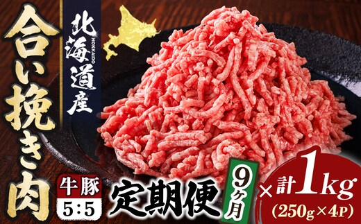 【定期便 9ヶ月連続】北海道産 合い挽き肉 合計1kg（牛5：豚5） 豚肉のコク旨ひき肉 挽肉 挽き肉 ひき肉です 合挽肉 合挽き肉 豚 肉 豚肉 豚肉ミンチ 合挽豚肉 牛 肉 牛肉 牛肉ミンチ 合挽牛肉 合い挽き 小分け 一人暮らし セット おかず ハンバーグ 冷凍 定期便 肉 絶品 人気 ヒロセ 10万ほど 10万以下 北海道 釧路町 釧路超 特産品