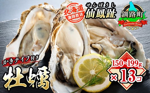 北海道 仙鳳趾名産 牡蠣 150g～199g×13コ＋かきナイフ付き かき漁師直送K4-3 【センポウシ : 釧路町の東 厚岸湾の西 カキの名産地】 仙鳳趾 せんぽうし 牡蠣 生食用 殻付き 生牡蠣 絶品 産地直送 殻付き牡蠣 北海道 釧路町 釧路超 特産品