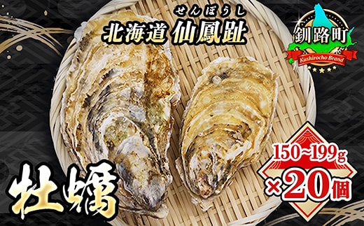 北海道 仙鳳趾名産 牡蠣 150g～199g×20コ+かきナイフ付き かき漁師直送 K3-4 【センポウシ : 釧路町の東 厚岸湾の西 カキの名産地】 仙鳳趾 せんぽうし 牡蠣 生食用 殻付き 生牡蠣 絶品 産地直送 殻付き牡蠣 北海道 釧路町 釧路超 特産品