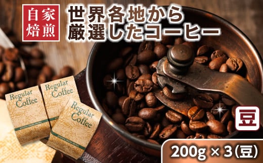 【12/21まで年内お届け】コーヒー セット 200g×3個 豆 店主おまかせ プレミアム コーヒー豆 人気 コーヒー 珈琲豆 ベンデドール 珈琲 自家焙煎 年内配送 年内発送 北海道 釧路町 釧路超 特産品