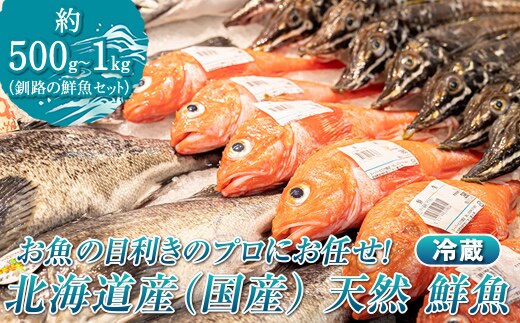 お魚の目利きのプロにお任せ！北海道産（国産） 天然 鮮魚 約500g～1kg（釧路の鮮魚セット）産地直送 冷蔵 冷蔵便 刺身 セット 鮮魚セット 鮮魚ボックス 魚介類 海鮮 絶品 人気 ヒロセ 北海道 釧路町 釧路超 特産品 within2025