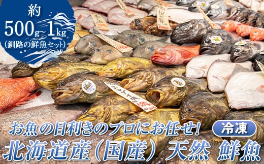 お魚の目利きのプロにお任せ！北海道産（国産） 天然 鮮魚 約500g～1kg（釧路の鮮魚セット）産地直送 冷凍 冷凍便 刺身 セット 鮮魚セット 鮮魚ボックス 魚介類 海鮮 絶品 人気 ヒロセ 北海道 釧路町 釧路超 特産品 within2025