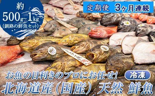 【定期便 3ケ月連続】 お魚の目利きのプロにお任せ！北海道産（国産） 天然 鮮魚 約500g～1kg（釧路の鮮魚セット） 鮮魚 刺身 セット 産地直送 定期便 冷凍 冷凍便 魚介類 海鮮 絶品 人気 ヒロセ 北海道 釧路町 釧路超 特産品