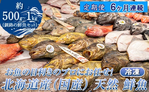 【定期便 ６ケ月連続】 お魚の目利きのプロにお任せ！北海道産（国産） 天然 鮮魚 約500g～1kg（釧路の鮮魚セット） 産地直送 冷凍 冷凍便 刺身 セット 鮮魚セット 鮮魚ボックス 定期便 魚介類 海鮮 絶品 人気 ヒロセ 北海道 釧路町 釧路超 特産品