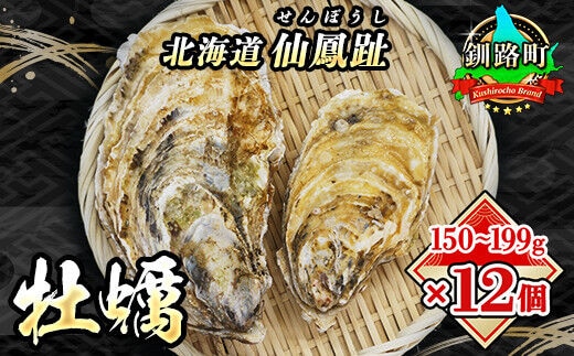＼先行予約／北海道 仙鳳趾名産 牡蠣 150g～199g×12コ+かきナイフ付き かき漁師直送 K3-3＜出荷時期：2026年7月1日～順次出荷＞＜センポウシ : 釧路町の東 厚岸湾の西 カキの名産地＞ | せんぽうし 牡蠣 生食用 殻付き 生牡蠣 絶品 産地直送 北海道 釧路町 釧路超 特産品