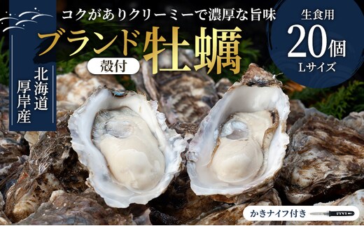 厚岸産 殻付カキLサイズ20個（生食用） 魚貝類 生牡蠣 かき 牡蠣 マルえもん メルマガ掲載商品2