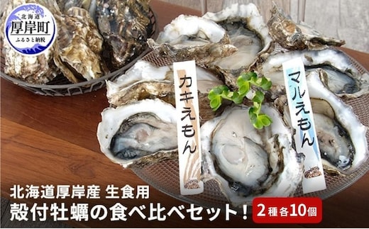 北海道 厚岸産 殻付牡蠣の食べ比べセット！（生食用） 牡蠣 カキ かき 生食 生食用 生牡蠣 食べ比べ 魚貝類 