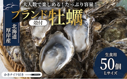 パーティー用 北海道 厚岸産牡蠣 Lサイズ50個入（目安：10人前） ふるさと納税 北海道 牡蠣 カキ かき 生食 生食用 生牡蠣 パーティー ミルク 魚貝類 殻付き牡蠣 シーフード マルえもん