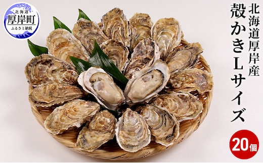 厚岸産 殻かき L20個セット 北海道 牡蠣 カキ かき 生食 生食用 生牡蠣 魚貝類 マルえもん