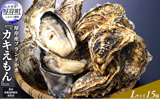 厚岸産ブランドかき カキえもん Lサイズ 15個セット 北海道 牡蠣 カキ かき 生食 生食用 生牡蠣 魚介類