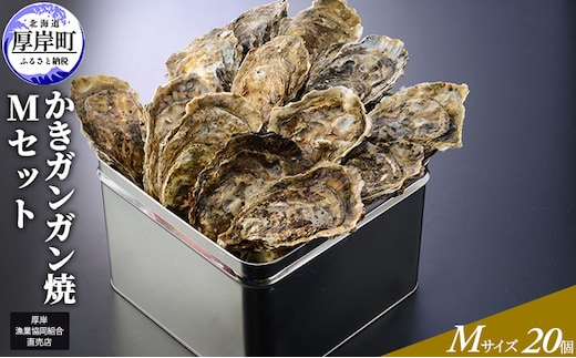 【厚岸漁協直売店特製】 かきガンガン焼 Ｍセット20個 北海道 牡蠣 カキ かき 生牡蠣 殻付 魚介類 マルえもん