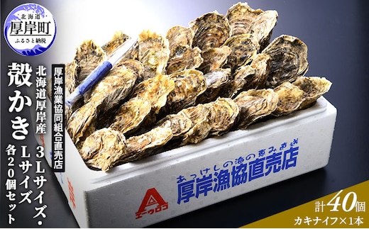 厚岸産 殻かき 3L 20個・L 20個セット (合計40個) 北海道 牡蠣 カキ かき 生食 魚介類 マルえもん