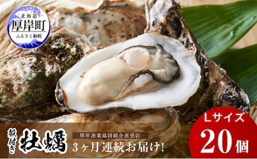 定期便 3ヶ月 北海道 厚岸産 牡蠣 Lサイズ 20個 (各回20個×3ヶ月分,合計60個) 殻付き 生食 カキナイフ付き かき カキ 生牡蠣 魚介類 貝 マルえもん