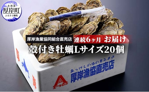 定期便 6ヶ月 北海道 厚岸産 牡蠣 Lサイズ 20個 (各回20個×6ヶ月分,合計120個) 殻付き 生食 カキナイフ付き かき カキ 魚貝類 生牡蠣 マルえもん