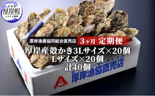 定期便 3ヶ月 北海道 厚岸産 牡蠣 3L 20個 と L 20個 ひと月あたり40個お届け (各回40個×3ヶ月分,合計120個) 殻付き 生食 かき カキ 生牡蠣 貝付き牡蠣 貝 海鮮 魚介類 マルえもん