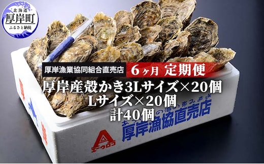 定期便 6ヶ月 北海道 厚岸産 牡蠣 3L 20個 と L 20個 ひと月あたり40個お届け (各回40個×6ヶ月分,合計240個) 殻付き 生食 かき カキ 魚貝類 生牡蠣 マルえもん