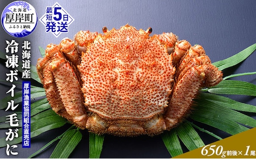 【3D冷凍】北海道産 冷凍ボイル毛がに 650g前後×1尾 毛カニ 蟹 毛ガニ カニ かに 