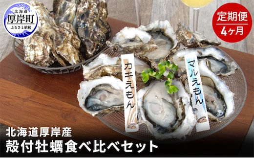 4か月 定期便 北海道 厚岸産 殻付牡蠣の食べ比べセット！（生食用） 牡蠣 カキ かき 生食 生食用 生牡蠣 食べ比べ 魚貝類 
