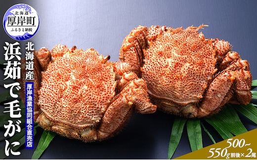 北海道産 浜茹で 毛がに（500～550g前後）2尾 毛カニ 蟹 かに カニ 魚貝類 