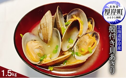北海道厚岸産 殻付き貝あさり1.5kg アサリ 魚介類 砂出し済み 海水入れた状態 