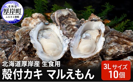 北海道厚岸産 生食用 殻付カキ3Lサイズ10個 マルえもん 魚貝類 海の幸 海のミルク 海鮮 国産 北海道産 オイスター つまみ お酒 あて 肴 生牡蠣 メルマガ掲載商品1 