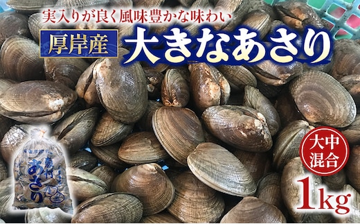 あさり 漁師から直で仕入れ！厚岸産の大きなあさり 1kg 海鮮 旨味 ミネラル豊富 タウリン アサリ みそ汁 酒蒸し 砂出し済 
