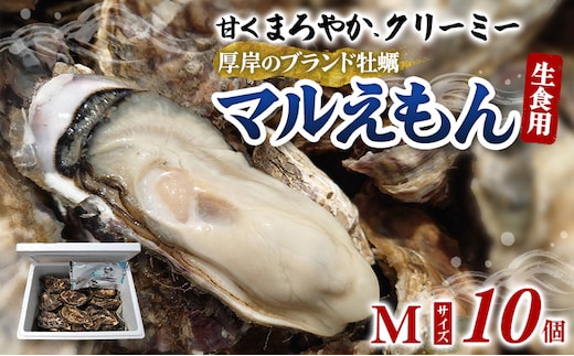 牡蠣 厚岸のブランド牡蠣 マルえもん Mサイズ 10個 生食用 魚貝類 海鮮 海のミルク 国産 生食用殻付き牡蠣 まろやか クリーミー 食べやすい品種 海の香り 牡蠣の酒蒸し 焼き牡蠣 マルえもん