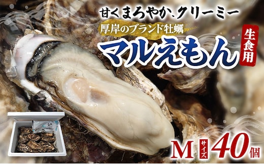 牡蠣 厚岸のブランド牡蠣 マルえもん Mサイズ 40個 生食用 魚貝類 海鮮 海のミルク 国産 生食用殻付き牡蠣 まろやか クリーミー 食べやすい品種 海の香り 牡蠣の酒蒸し 焼き牡蠣 マルえもん