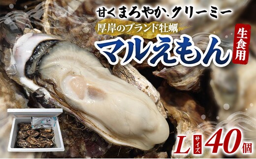 牡蠣 厚岸のブランド牡蠣 マルえもん Lサイズ 40個 生食用 魚貝類 海鮮 海のミルク 国産 生食用殻付き牡蠣 まろやか クリーミー 食べやすい品種 海の香り 牡蠣の酒蒸し 焼き牡蠣 マルえもん
