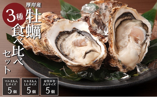 北海道 牡蠣 3種 食べ比べ セット 厚岸オイスターハーフ ★オールスターズ 生食 