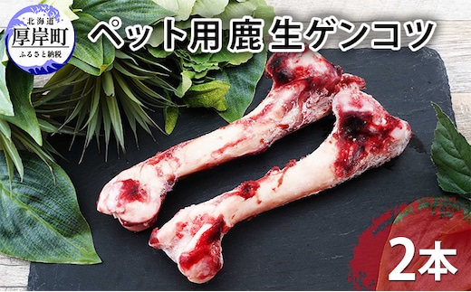  【ペット用ジビエ】無添加 エゾシカ 生ゲンコツ 2本 犬用 北海道産 鹿肉【deer food】ハンター直送 [ 健康 体 毎日 習慣 大事 安心 安全 骨 ] 