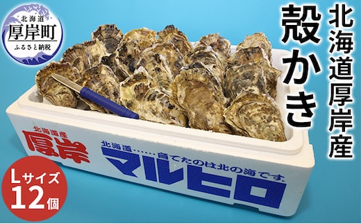 厚岸産 殻かき L12個セット 北海道 牡蠣 カキ かき 生牡蠣 殻付 魚貝類 淡水 豊富 栄養 蓄え 美味しい たっぷり 大きい マルえもん