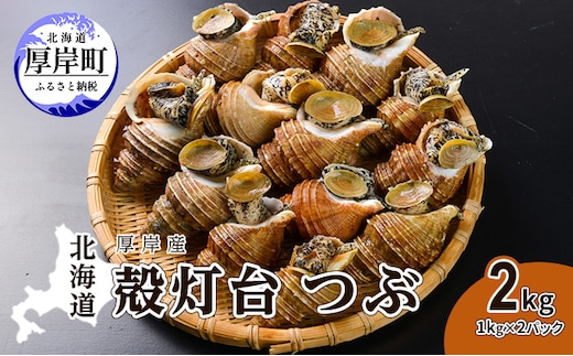 先行受付 北海道 厚岸産 殻灯台 つぶ 2kg（1kg×2パック） 魚介類 海の幸 海産物 海鮮 貝 つぶ貝 希少 下処理不要 刺身 塩茹で お酒のあて つまみ 国産 北海道産 