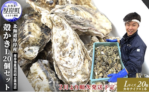 2026年2月発送 厚岸産 殻かき L20個セット 魚貝類 海鮮 海の幸 生牡蠣 生食用 生食用牡蠣 オイスター 厚岸産生牡蠣 カキナイフ付 マルえもん