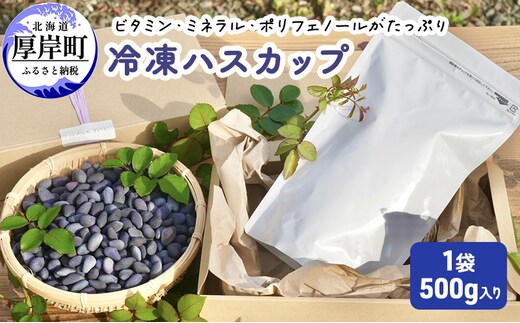 ハスカップ 冷凍 1袋（500g）2026年収穫【厚岸ハスカ】[ アントシアニン スーパーフード 果実 ビタミン ミネラル 抗酸化作用 ポリフェノール 北海道産 ]