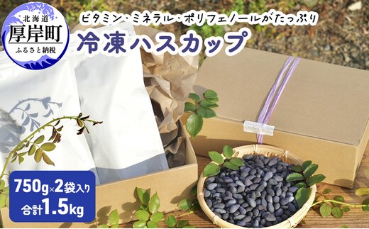 ハスカップ 冷凍 750g×2袋（1.5kg）2026年収穫【厚岸ハスカ】[ アントシアニン スーパーフード 果実 ビタミン ミネラル 抗酸化作用 ポリフェノール 北海道産 ]