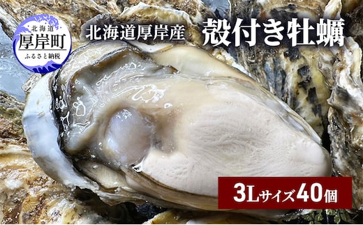 北海道 厚岸産 殻付き 牡蠣 3Lサイズ 40個 魚貝類 生牡蠣 海鮮 海の幸 生食用牡蠣 生食用 生食用殻付き牡蠣 濃厚 甘み マルえもん オイスター 