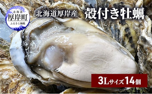 北海道 厚岸産 殻付き 牡蠣 3Lサイズ 14個 魚貝類 生牡蠣 海鮮 海の幸 生食用牡蠣 生食用 生食用殻付き牡蠣 濃厚 甘み マルえもん オイスター 