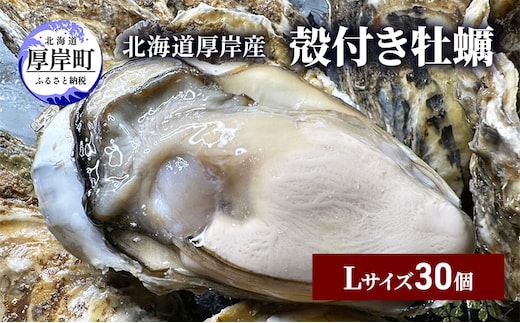 北海道 厚岸産 殻付き 牡蠣 Lサイズ 30個 魚貝類 生牡蠣 海鮮 海の幸 生食用牡蠣 生食用 生食用殻付き牡蠣 濃厚 甘み マルえもん オイスター 