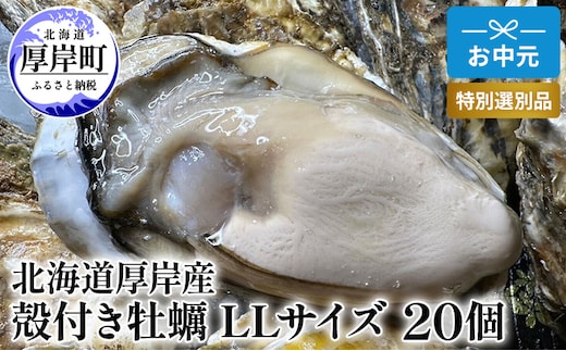 北海道 厚岸産 殻付き 牡蠣 LLサイズ 20個 お中元 特別選別品 魚貝類 生牡蠣 海鮮 海の幸 海産物 ふっくら 濃厚 甘み マルえもん オイスター 生食用殻付カキ 生食用 