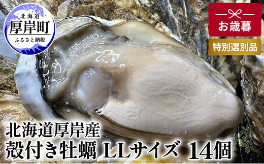 北海道 厚岸産 殻付き 牡蠣 LLサイズ 14個 お歳暮 特別選別品 魚貝類 生牡蠣 海鮮 海の幸 海産物 ふっくら 濃厚 甘み マルえもん オイスター 生食用殻付カキ 生食用 