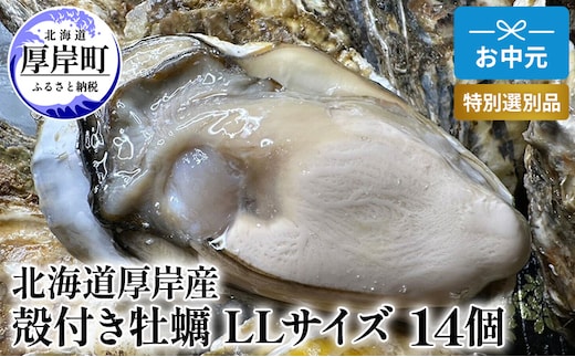 北海道 厚岸産 殻付き 牡蠣 LLサイズ 14個 お中元 特別選別品 魚貝類 生牡蠣 海鮮 海の幸 海産物 ふっくら 濃厚 甘み マルえもん オイスター 生食用殻付カキ 生食用 