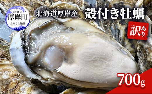訳あり 北海道 厚岸産 殻付き 牡蠣 700g 魚貝類 生牡蠣 海の幸 海鮮 オイスター 濃厚な甘み グルメ 