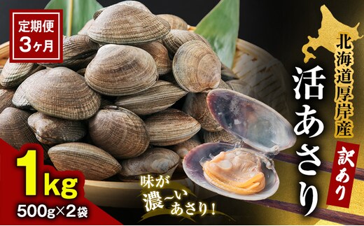 3カ月 定期便 北海道 厚岸産 訳あり 活あさり 500g×2(各月1kg、合計3kg) アサリ 貝類 海産物 旨み 砂出し済み 厚岸産あさり 