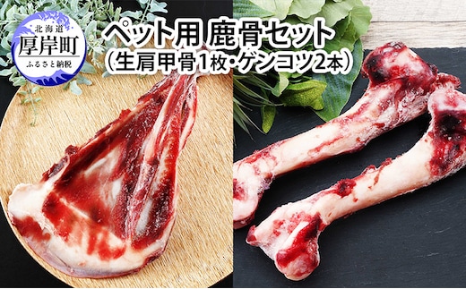 ペット用 鹿骨セット（生肩甲骨1枚・ゲンコツ2本）鹿 しか ペット