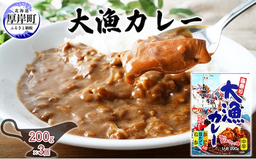 大漁カレー 200g×3個 カレー レトルト